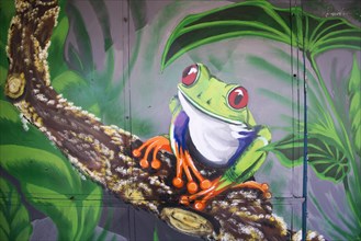 Graffiti of a frog in the rain forest