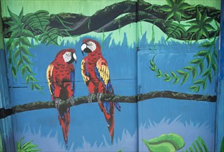 Graffiti of two Scarlet Macaws