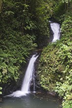 Waterfall in the cloud forest