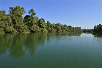 Moraca river delta at Skadar Lake National Park