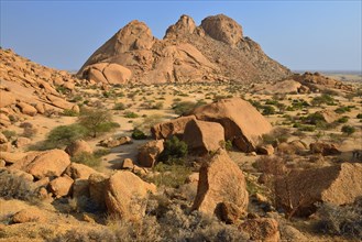 View over Sugarloaf Mountain near Spitzkoppe