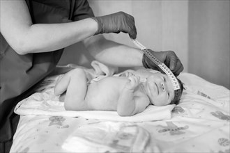 Newborn baby after birth