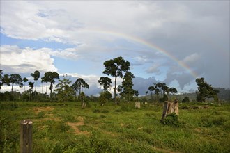 Deforested area in the rainforest for use as pasture with rainbow