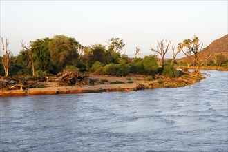 Uaso Nyiro river in the evening light