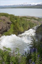 River Hrafnsgerdisa flowing into the Lagarfljot Lake