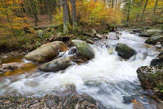 Mountain stream Ilse in autumn