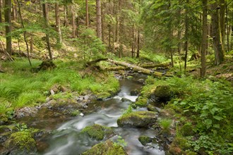 River Vesser