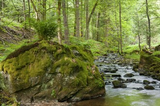 River Vesser