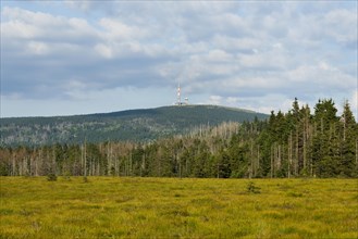 Torfhausmoor raised bog with view towards the Brocken mountain