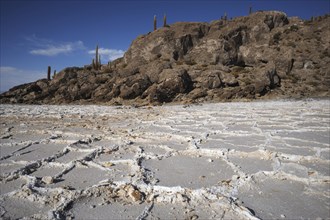 Isla Incahuasi in Salar de Uyuni salt flat