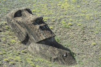 Moai in Rano Raraku
