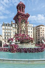Jacobins square during the 17th World Convention of Rose Societies in 2015, Lyon