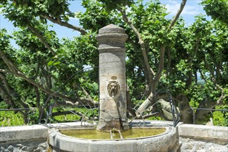 Fountain