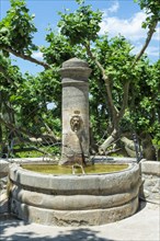 Fountain