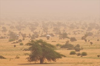 Nomad tents in a sandstorm
