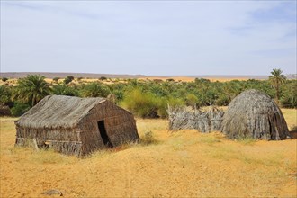 Straw huts in the oasis of Azougui