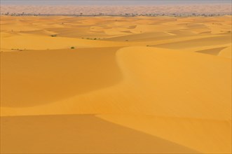 Desert landscape with sand dunes
