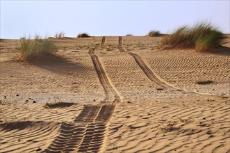 Tire tracks in the desert sand