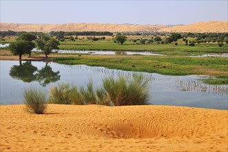 Temporary lake after rain in the oasis