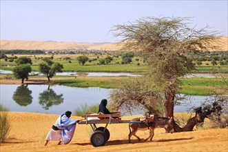 Donkey cart being pushed through the soft sand