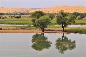 Temporary lake after rain in the oasis