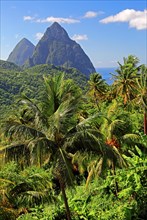 Tropical landscape with the two Pitons