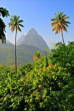 Tropical landscape with the two Pitons