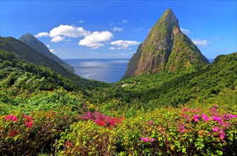 Landscape with the two Pitons