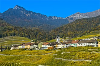 Yvorne village surrounded by vineyards in autumn