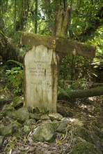 Weathered wooden cross and grave stone standing in an old settlers graveyard in a dense forest