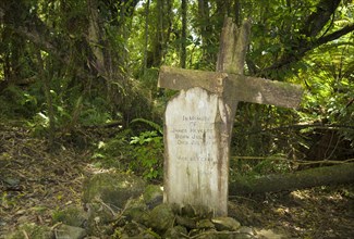 Weathered wooden cross and grave stone standing in an old settlers graveyard in a dense forest