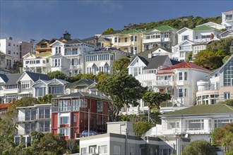 Wooden houses in Oriental Bay