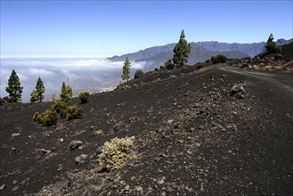 Volcanic landscape in the Parque Natural de Cumbre Vieja