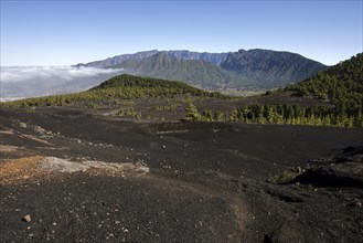 View from the Parque Natural de Cumbre Vieja onto volcanic landscape