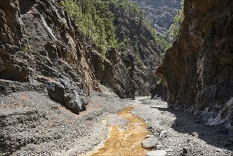 Barranco de Las Angustias with ferrous water