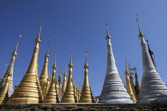 Pagoda Forest