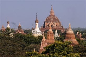 View of pagodas
