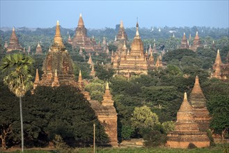 View of pagodas