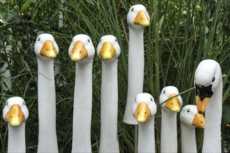 Wooden Geese Heads