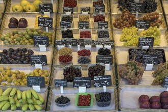 Various fruits at a fruit stand