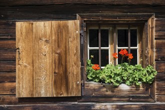 Geraniums at the window of a farmhouse