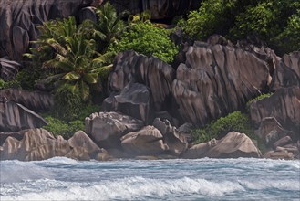 Sea with granite rocks and palm trees