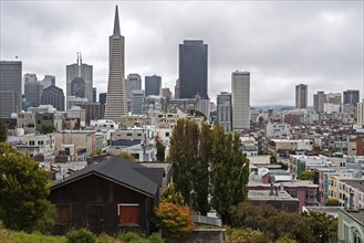 View of financial district from Telegraph Hill