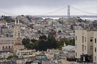 View of San Francisco houses from Russian Hill