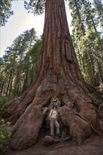 Woman standing at foot of redwood (Sequoioideae)