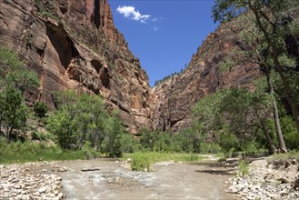 North Fork Virgin River