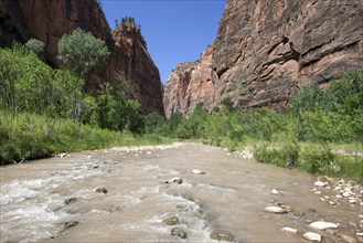 North Fork Virgin River