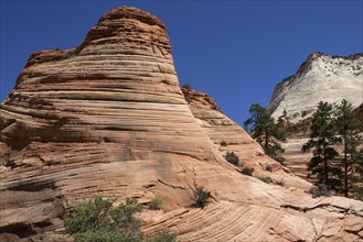 Petrified Sand Dunes in Clear Creek at Zion-Mount Carmel Highway