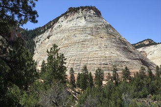 Checkerboard Mesa Table Mountain