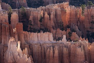 View of Bryce Amphitheater from Inspiration Point